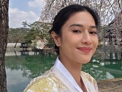 Hobi Masak dengan Suami, 7 Potret Dapur Rumah Dian Sastro Estetik bak Studio Ghibli