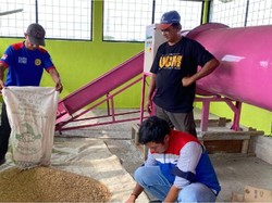 Program Desa Energi Berdikari Pertamina Dorong Produksi Pangan Desa