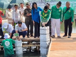 Hendropriyono hingga Wamen LH Tanam 5 KM Mangrove di Teluk Naga Tangerang