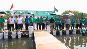 Warga Bersama Agung Sedayu Group Tanam 7.000 Mangrove di Tangerang