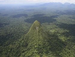 Misteri Gunung Berbentuk Piramida di Pedalaman Amazon