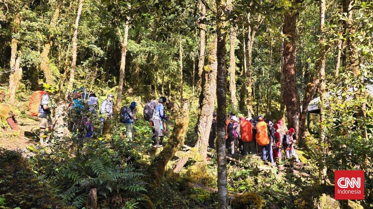 Pencarian Pendaki Asal Bogor di Gunung Binaiya Maluku Disetop