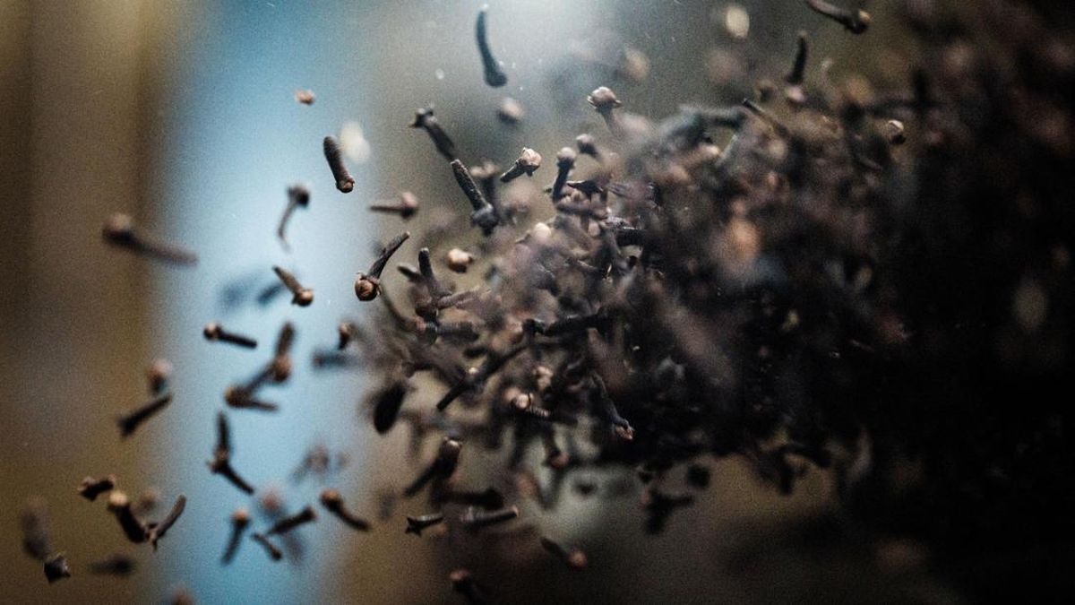 AS Temukan Cengkeh RI Tercemar Radioaktif, Terpapar di Lampung