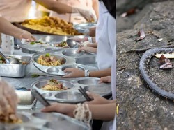 Bangkai Ular di Menu Sekolah hingga Nasi Rames Enak di Apartemen