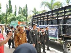 22.989 Hewan Ternak dari NTB Dikirim ke Luar Daerah, Semua Sehat