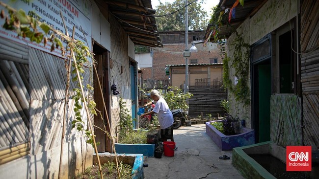FOTO: Singgah di Urban Farming Kelompok Tani Kampung Bayam Jakarta