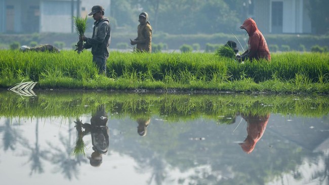 Nama Dicatut, Anggota DPR Ingatkan Petani di Bandung Waspada Penipuan Anggota DPR Rajiv mengingatkan petani di Bandung waspadai penipuan berkedok bantuan pertanian. Dia menegaskan tidak pernah meminta imbalan untuk bantuan.
