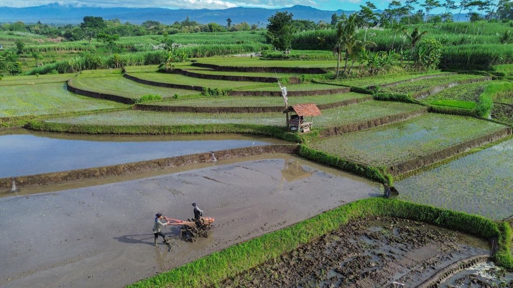 Prabowo Kunci 87 Persen Lahan Sawah RI Tak Boleh Dialihfungsikan