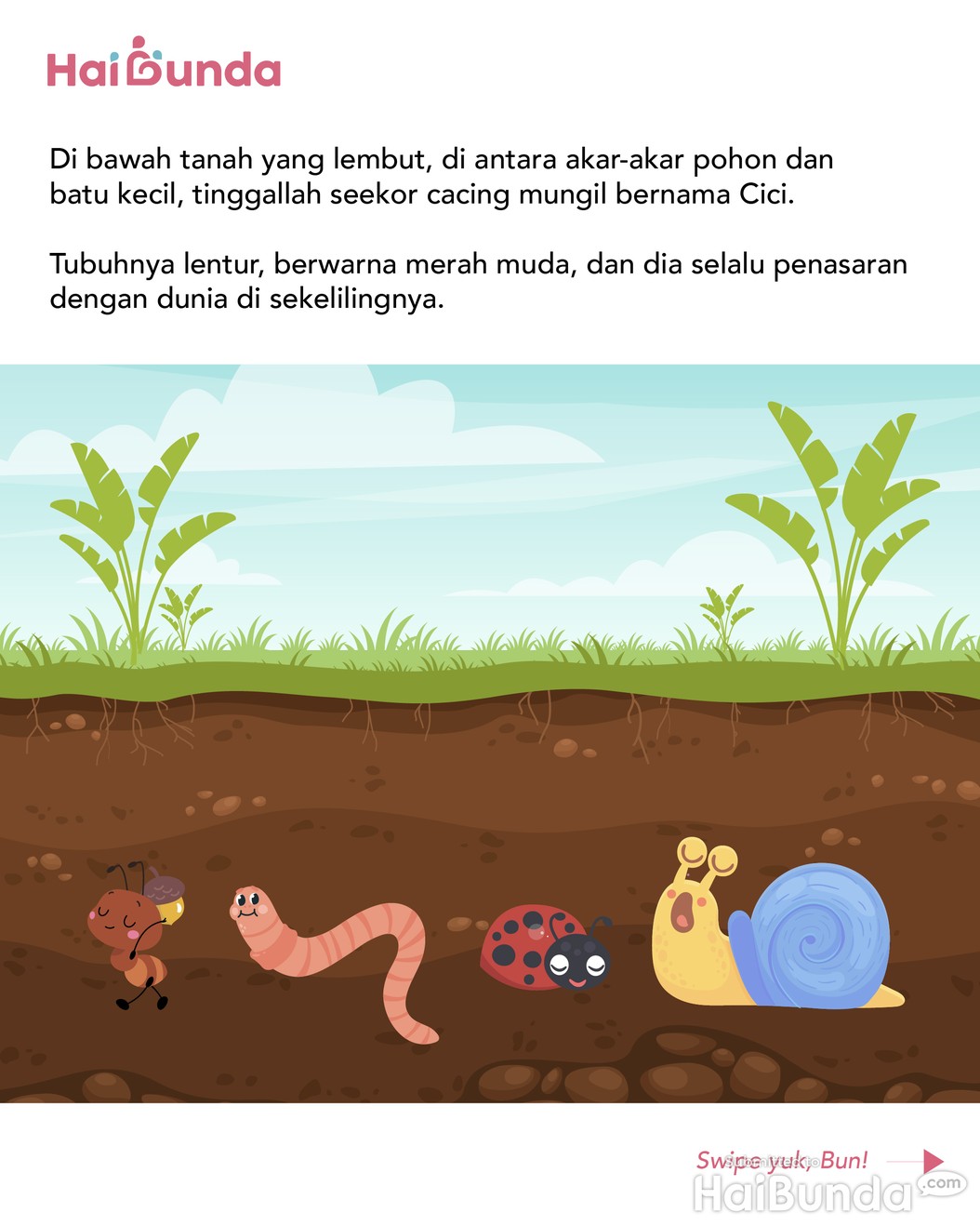 Cerita Fabel: Cici Si Cacing Petualang