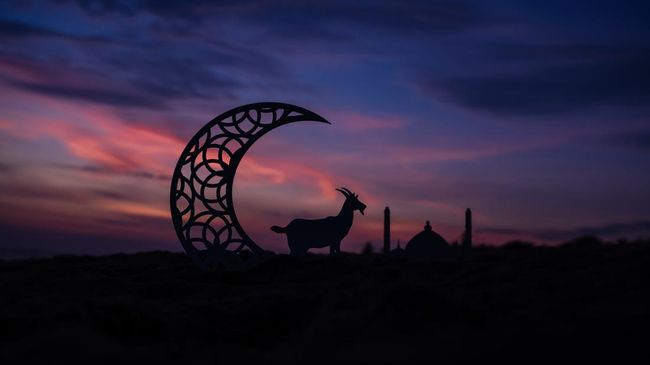 Hukum Anak Kecil Belum Baligh Berkurban Idul Adha Menurut Islam