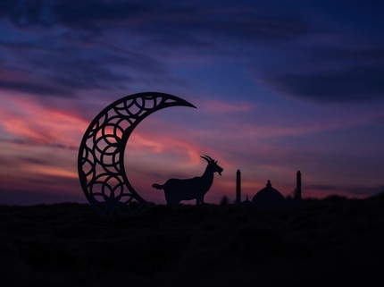 Hukum Anak Kecil Belum Baligh Berkurban Idul Adha Menurut Islam
