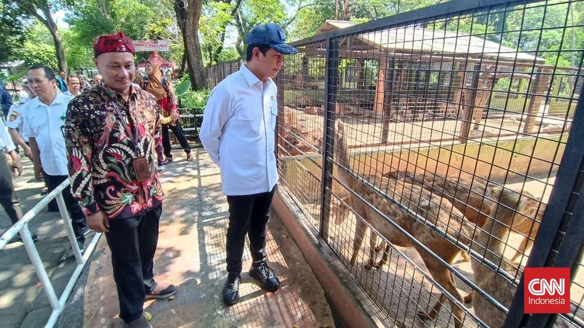 MenLH Hanif Usul Aturan Khusus Pengelolaan Kebun Binatang ke Prabowo