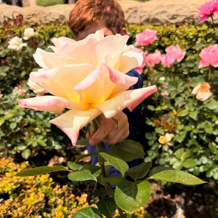<p>Archie sendiri baru saja merayakan ulang tahunnya yang keenam, beberapa waktu lalu. Diketahui, ia lahir ada 6 Mei 2019 di Portland Hospital, London, Inggris. (Foto: Instagram: @meghan)</p>