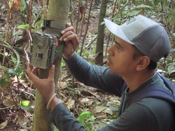 Smart Forest City IKN: Bisakah Teknologi Menjadi Telinga dan Mata Digital di Hutan?