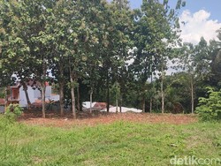 Kenangan Pasar Munding, Jejak Kejayaan Perdagangan Ternak di Ciamis