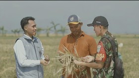 Serapan 2.000.524 Ton Setara Beras, Stok Bulog Tembus 3,6 Juta Ton