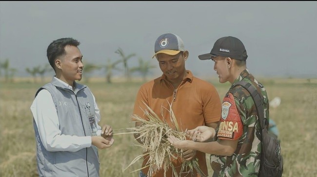 Stok Cadangan Beras Pemerintah (CBP) yang dikuasai Bulog kini melampaui 3,6 juta ton, menjadi capaian tertinggi sejak Bulog berdiri 57 tahun lalu.