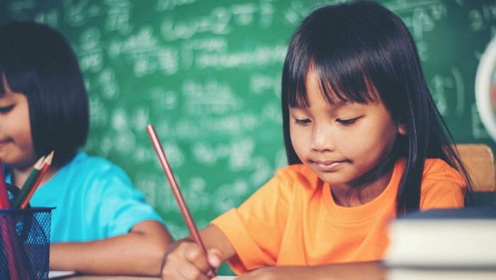 Wapres Gibran Bakal Terapkan Kurikulum AI Tahun Ini untuk SD-SMA, Indonesia Sudah Siap?