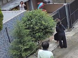 Main di Rumah Kosong, 2 Bocah Bandung Tiba-tiba Diserang Tawon