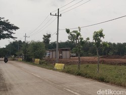 Sawah di Madiun Diuruk, Dinilai Lawan Ketahanan Pangan Prabowo