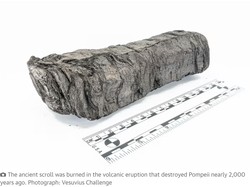 Gulungan Papirus Misterius Korban Letusan Vesuvius Dipindai Sinar-X, Ini Hasilnya
