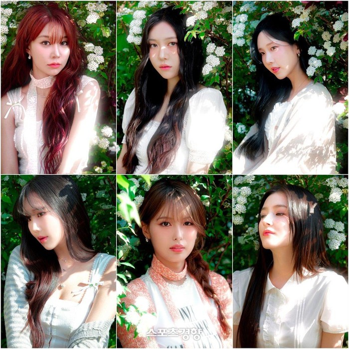 MOMOLAND kembali dengan enam anggota/Foto: Allkpop