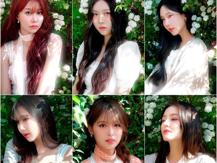 MOMOLAND kembali dengan enam anggota/Foto: Allkpop