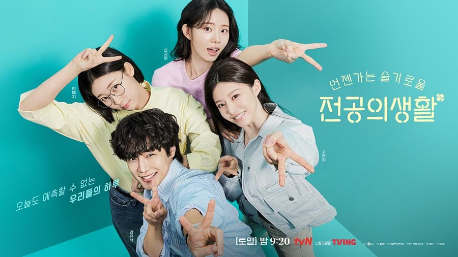 Drama Korea Resident Playbook