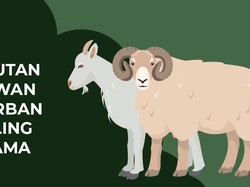 Urutan Hewan Kurban Paling Utama