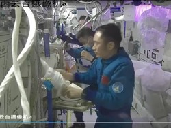 Astronaut China Teliti Regenerasi Cacing Pipih di Luar Angkasa