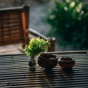 5 Tanaman Pembawa Rezeki dan Hoki Menurut Feng Shui, Tanam di Rumahmu!