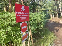 Kata Pakar ITB soal Pemusnahan Amunisi yang Tewaskan 13 Orang di Garut