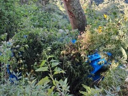 1 Wisatawan Bromo Korban Landcruiser Terjun ke Jurang Meninggal