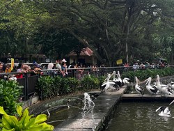 7.000 Lebih Wisatawan Nikmati Hari Cuti Bersama Waisak di Ragunan