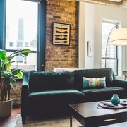 10 Tanaman Cantik Pembersih Udara yang Cocok Disimpan di Dalam Rumah