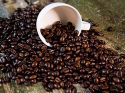 3 Fakta Kopi Muting khas Merauke yang Beraroma Tembakau