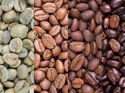 Perbedaan Kopi Arabika dan Robusta yang Wajib Diketahui Pencinta Kopi Perbedaan Kopi Arabika dan Robusta yang Wajib Diketahui Pencinta Kopi