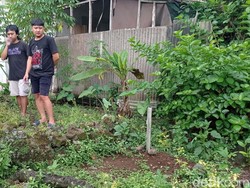 Fakta di Balik Kuburan Misterius Tasikmalaya yang Bikin Geger