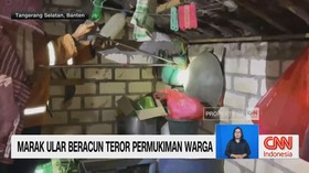 VIDEO: Marak Ular Beracun Teror Permukiman Warga
