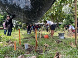 Arkeolog Ekskavasi Candi Tertua di Mojokerto demi Temukan Bagian Ini