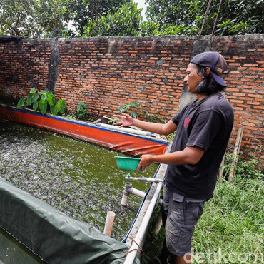 10 Ikan Mengandung Merkuri yang Sering Muncul di Laut Indonesia