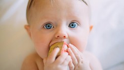Daftar 89 Nama Bayi yang Dilarang di Australia