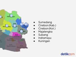 Kupas Tuntas Potensi Investasi Kawasan Rebana di detikcom Regional Summit