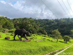 Mengintip Potensi Wisata Alam Kuningan di Kawasan Rebana