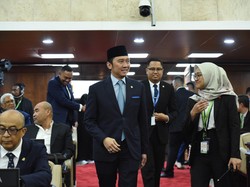 Ibas Ajak Negara OKI Lawan Islamofobia dan Dukung Perdamaian