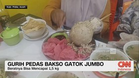 VIDEO: Gurih Pedas Bakso Gatok Jumbo