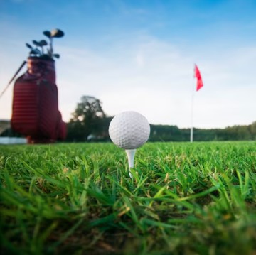 Kebutuhan dan Permintaan Lahan Makin Meningkat, 4 Negara Ini Gusur Lahan Golf