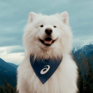 Brand Ambassador Tergemas! ASICS Tunjuk Anabul Jadi Wajah Kampanye Teranyar Mereka