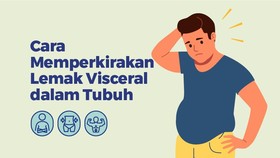INFOGRAFIS: Cara Memperkirakan Lemak Visceral dalam Tubuh