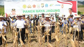 Kapolri: Panen Jagung Serentak Capai 2,54 Juta Ton